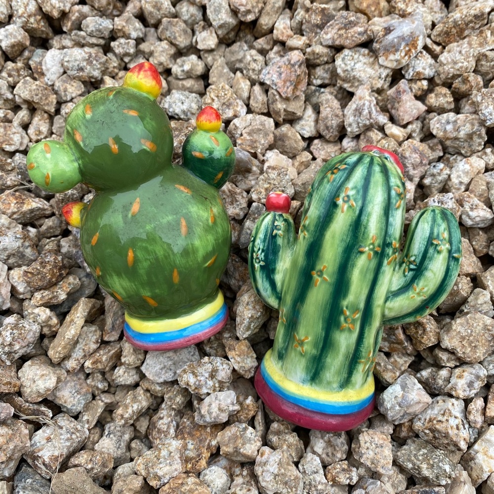 Salt and pepper shaker